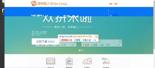 白帽子黑客與網(wǎng)絡(luò)安全工程師視角 Kali Linux與Windows軟件管理的異同