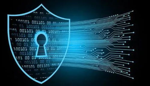 信息時(shí)代，維護(hù)網(wǎng)絡(luò)安全刻不容緩 聚焦網(wǎng)絡(luò)與信息安全軟件開(kāi)發(fā)